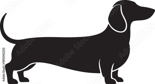 Dachshund Dog Silhouette Vector,Cute Sausage Dog Black Icon