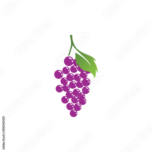Grapes vector icon illustration design