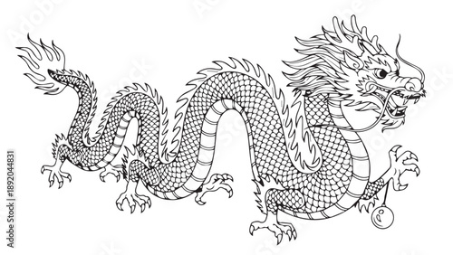 Intricate Chinese Dragon Illustration with Scaly Serpentine Body in Black and White Line Art.
