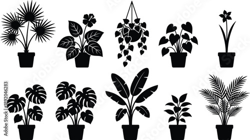 Indoor houseplants silhouettes set, potted tropical plants collection, decorative foliage icons, black and white botanical illustrations for design use