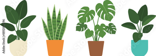 Indoor potted plants vector illustration set, modern houseplant collection with monstera and snake plant, home decor greenery, flat botanical design