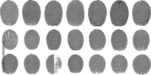 Realistic fingerprint vector set, high-resolution biometric thumbprint patterns, forensic identity textures, security authentication design elements, 
