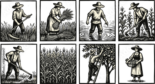 Vintage farming and agriculture scenes set, rural farmers working fields, traditional harvest activities, woodcut style black and white illustrations