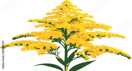 Vintage weathered and tattered American flag on a silver flagpole isolated on white background for patriotic designs, Memorial Day, and veteran concepts.