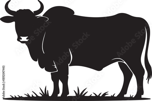 A cute black silhouette of a bull and cow isolated on a white background, featuring a vector art illustration of farm animal cattle for dairy agriculture