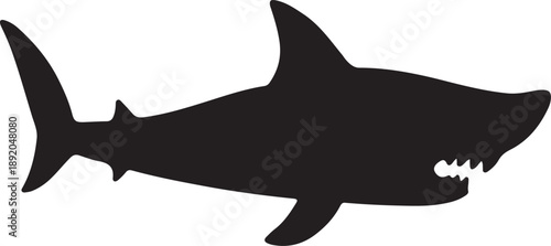 A dangerous blue shark predator swims underwater in this isolated vector illustration featuring a cartoon silhouette of the marine animal with sharp teeth and a prominent fin over white