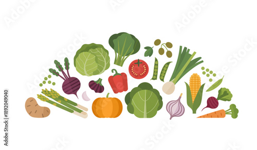 Harvest fresh vegetables vector collection with cabbage tomato carrot broccoli and assorted organic farm produce