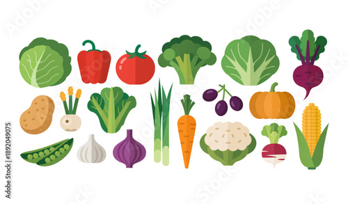 Seasonal fresh vegetables flat vector illustration set with organic produce isolated on white background