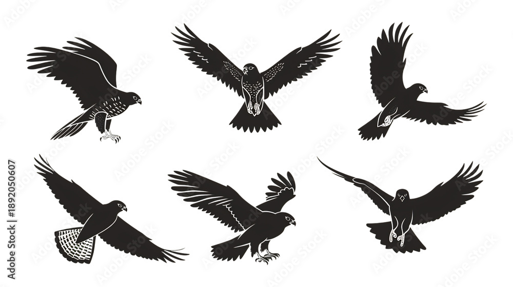 Fototapeta premium Majestic birds of prey in various dynamic flight poses, rendered in bold silhouette style.