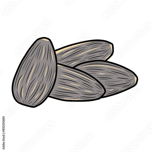 Vector illustration of sunflower seeds with shells.