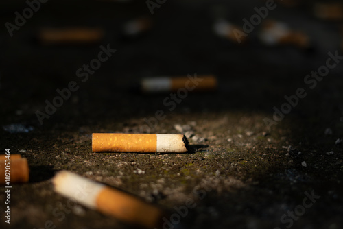 Close-up of discarded cigarette butts on dark ground with a spotlight of natural light highlighting environmental pollution issues