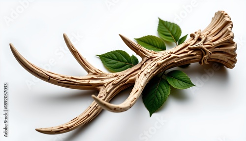 Wallpaper Mural An artistic arrangement of two antlers, which are intricately designed to resemble tree branches with leaves Torontodigital.ca