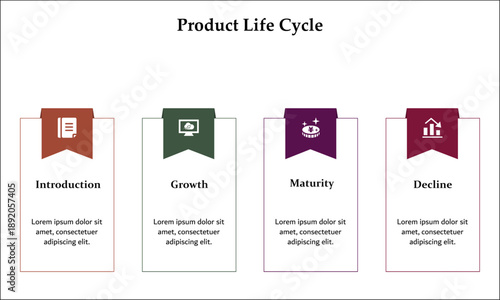 Four aspects of product life cycle - introduction, growth, maturity, decline. Infographic template with icons and description placeholder