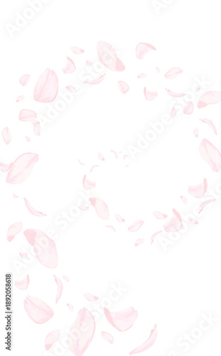 桜_手描き_渦を巻いて舞い上がる花びら_縦