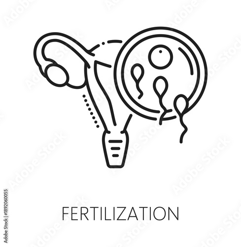 Fertilization gynecology, pregnancy healthcare line icon. Reproductive medicine lineart symbol, gynecology procedure healthcare vector icon. Pregnancy fertilization outline sign with sperms and uterus