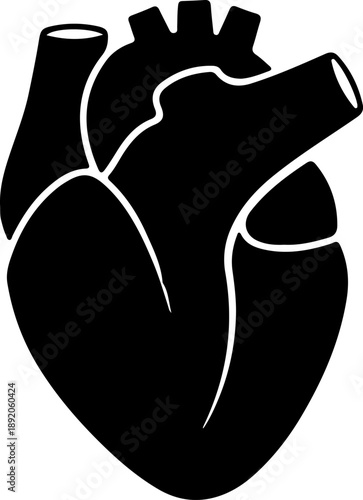 black and white vector Anatomical heart icon background Vector icon