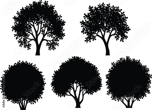 Tree silhouette, botanical shapes, canopy variety, branching structure, nature design, foliage form, landscape element, flavector