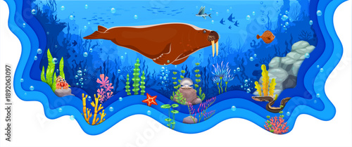 Paper cut underwater sealife landscape with funny walrus character among seaweed, red corals, starfish, clam shell, eel and blue aquatic plants. Vector frame with 3d layered papercut effect and ocean