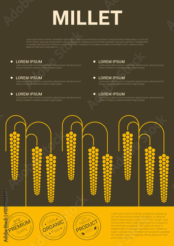 Cereal millet grains cover poster, golden grain stalks on brown background. Text placeholders and eco certification icons for farm branding, grain packaging agricultural presentations