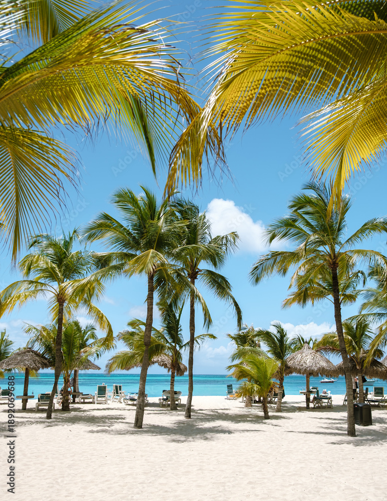 Obraz premium Explore the tranquil beauty of Palm Beach in Aruba under a brilliant blue sky