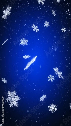 Wallpaper Mural Delicate white snowflakes drift and twirl against a deep blue, gradient background Torontodigital.ca