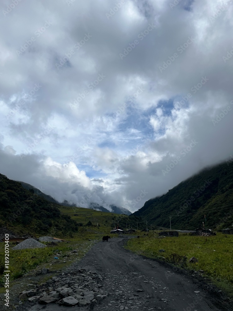 Obraz premium road in the mountains