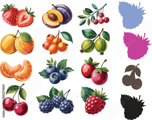 Colorful assortment of various fruits and berries with some silhouettes strawberries