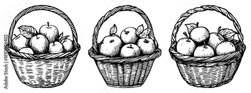 Set of vintage woven baskets filled with apples in hand drawn engraving style
