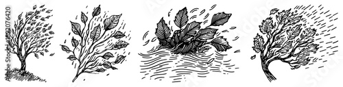 Set of sketches showing trees and leaves blowing in strong wind