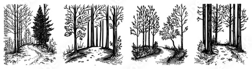 Hand drawn forest landscape collection with trees and paths in engraving style