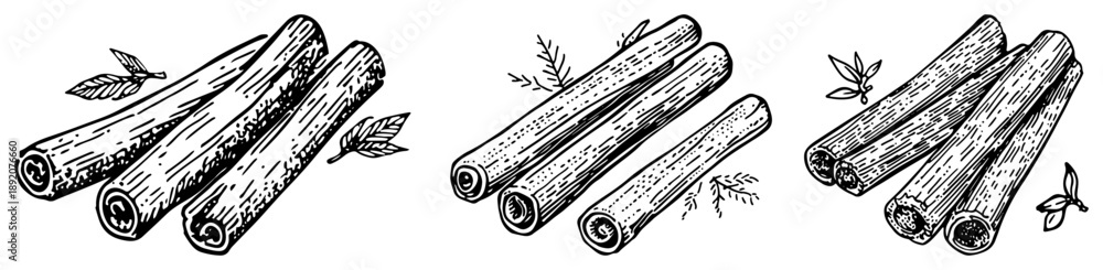 Obraz premium Hand drawn cinnamon sticks collection for cooking and baking in engraving style