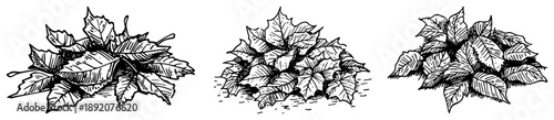 Set of three piles of fallen autumn leaves in hand drawn engraving style