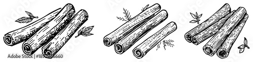 Hand drawn cinnamon sticks collection for cooking and baking in engraving style
