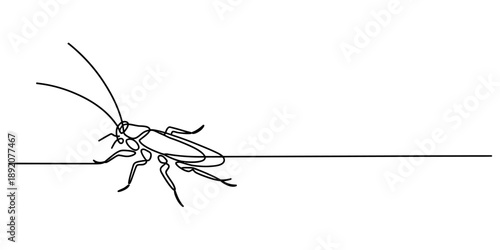 A minimalist continuous line art illustration of a cockroach on a clean white background. Vector, illustration
