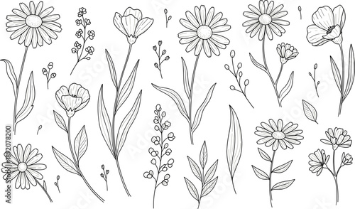 Hand drawn wildflower line art set with daisy chamomile and meadow floral elements for wedding invitation design flat vector illustration