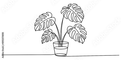 A simple continuous line art drawing of a monstera plant in a glass pot on a white background Vector, illustration