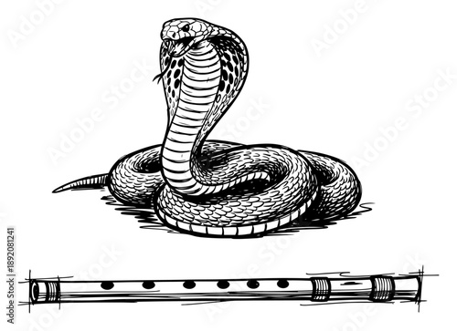 Hand drawn king cobra snake with musical flute instrument sketch