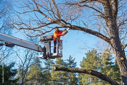 Foto An arborist in an orange jacket uses a chainsaw from a boom lift to trim a large tree