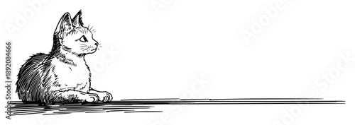 kitten sitting on floor ink drawing