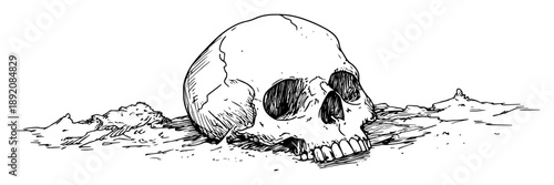 skull on ground realistic ink sketch