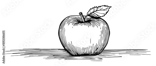 hand drawn apple fruit with leaf on surface