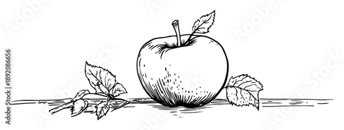 single apple with leaves realistic sketch style