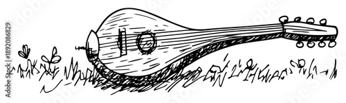traditional stringed instrument lying in grass