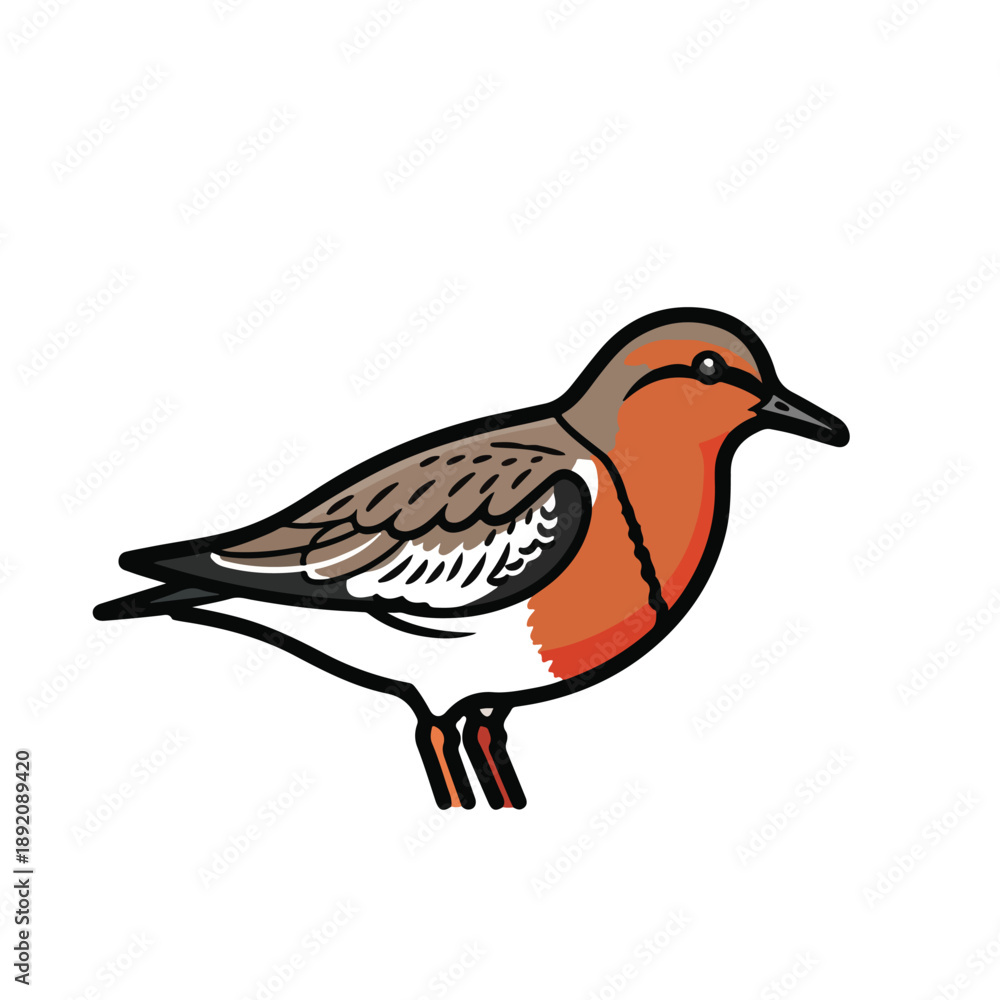 Obraz premium A colorful bird with orange, brown, and white feathers