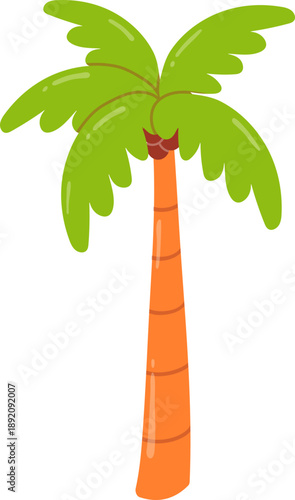 Coconut palm tree leaf summer tropical plant decoration
