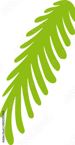 Coconut palm tree leaf branch summer tropical plant corner decoration