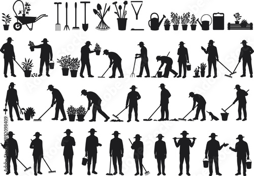 Gardener working with various tools for planting, watering, and digging, performing gardening tasks such as tilling soil, planting flowers, and organizing garden plants.