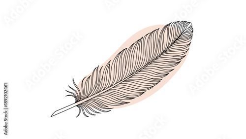 Delicate bird feather illustration in a fine line art style with a soft pink background shape for elegant designs.