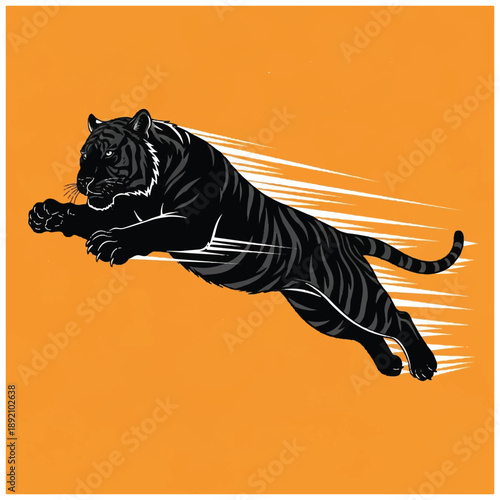 Black Tiger Jumping in Mid Air.