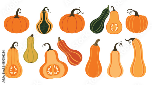 Variety of pumpkins and squashes in different shapes and colors for autumn harvest celebrations or seasonal thanksgiving dinner decor.
